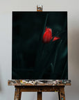 Canvas - Elegant Red Tulip