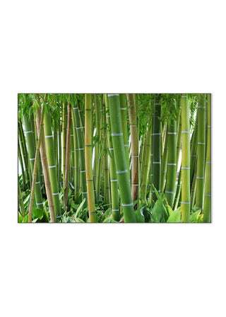 Akustik - Bambus