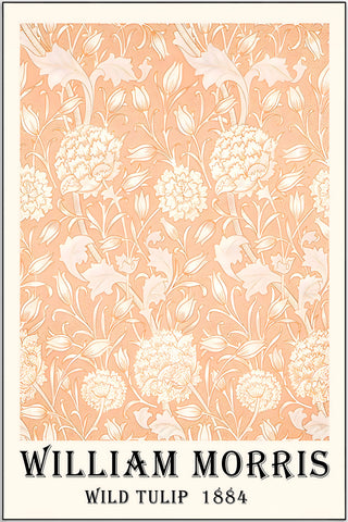 Plakat - William Morris - Vild peach tulip kunst - admen.dk