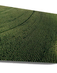 Akustik - Corn Fields 01