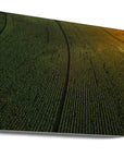 Akustik - Corn Fields 05 - Admen.dk