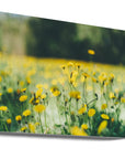 Akustik - Summer Flowers 15