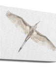 Canvas - Fly - Admen.dk