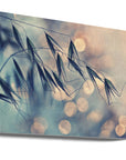 Canvas - nedtoning kunst - Admen.dk