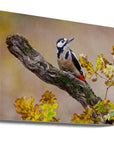 Canvas - Autumn woodpecker - Admen.dk