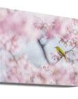 Canvas - Cherry-blossom color - Admen.dk