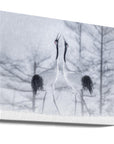 Canvas - In love - Admen.dk