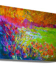Canvas - Df425meadowlands