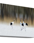 Canvas - Sing a song of LOVE - Admen.dk