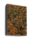 Akustik - Autumn Forest 02