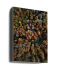 Akustik - Autumn Forest 18 - Admen.dk