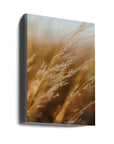 Akustik - Morning Grass Fields 05