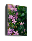 Akustik - Purple Flowers 11 - Admen.dk