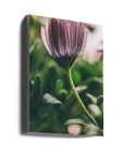 Akustik - Purple Flowers 06 - Admen.dk