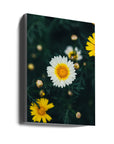Akustik - Summer Flowers 20 - Admen.dk