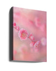 Canvas - pink colorful - Admen.dk