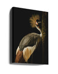 Canvas - Grey Crowned Crane - Admen.dk