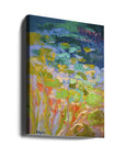 Canvas - Df2022dreamdawish