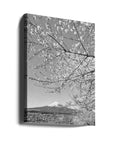 Canvas - Charming view of Mount Fuji with cherry blossoms - Admen.dk