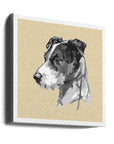 Akustik - A Very Modern Dog No3 - Admen.dk