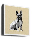 Akustik - A Very Modern Dog No8 - Admen.dk