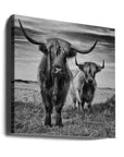Canvas - Highlands - Admen.dk