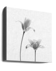 Canvas - First tulips - Admen.dk