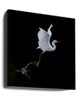 Canvas - fly - Admen.dk