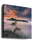 Canvas - Bonsai VI - Admen.dk