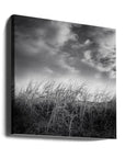 Soothing Meadow - Ray Truter Photography Fine Art Originals - Admen.dk