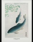 Plakat - Carp Or Koi - Admen.dk