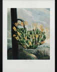 Plakat - The Aloe from The Temple of Flora (1807) - Admen.dk