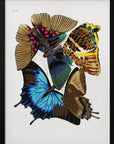Plakat - Butterflies 4 - Admen.dk