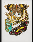 Plakat - Butterflies 10 - Admen.dk