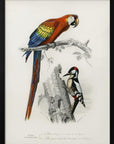 Plakat - Birds II