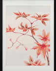 Plakat - Branch of Momiji Maple Tree With Leaves and Seeds During - Admen.dk