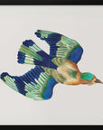 Plakat - Ceylonese Roller - Admen.dk