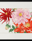 Plakat - Dahlia Flower - Admen.dk