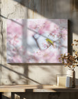 Canvas - Cherry-blossom color - Admen.dk