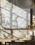 Canvas - Inmaculate - Admen.dk
