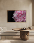 Poster - Pink peony IV
