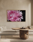 Poster - Pink peony VI