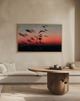 Plakat - Sunset Grass Fileld 02 - Admen.dk