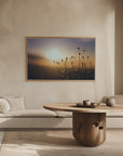 Plakat - Morning Grass Filelds 15 - Admen.dk