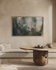 Plakat - White Flowers 05 - Admen.dk