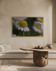 Plakat - Summer Flowers 7