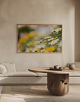 Plakat - Summer Flowers 43 - Admen.dk