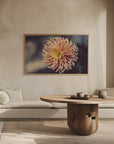 Plakat - Summer Flowers 79