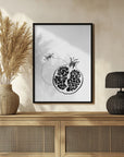 Poster - Line art pomegranates