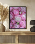 Plakat - Pink ranunculus